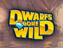 Logo of the Dwarfs Gone Wild slot game on Gala Casino.
