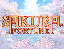 Logo of the Sakura Fortune slot game