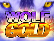 Preview of the Wolf Golf slot game.